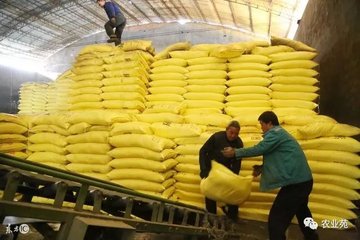 買化肥，這四點(diǎn)千萬(wàn)要注意！